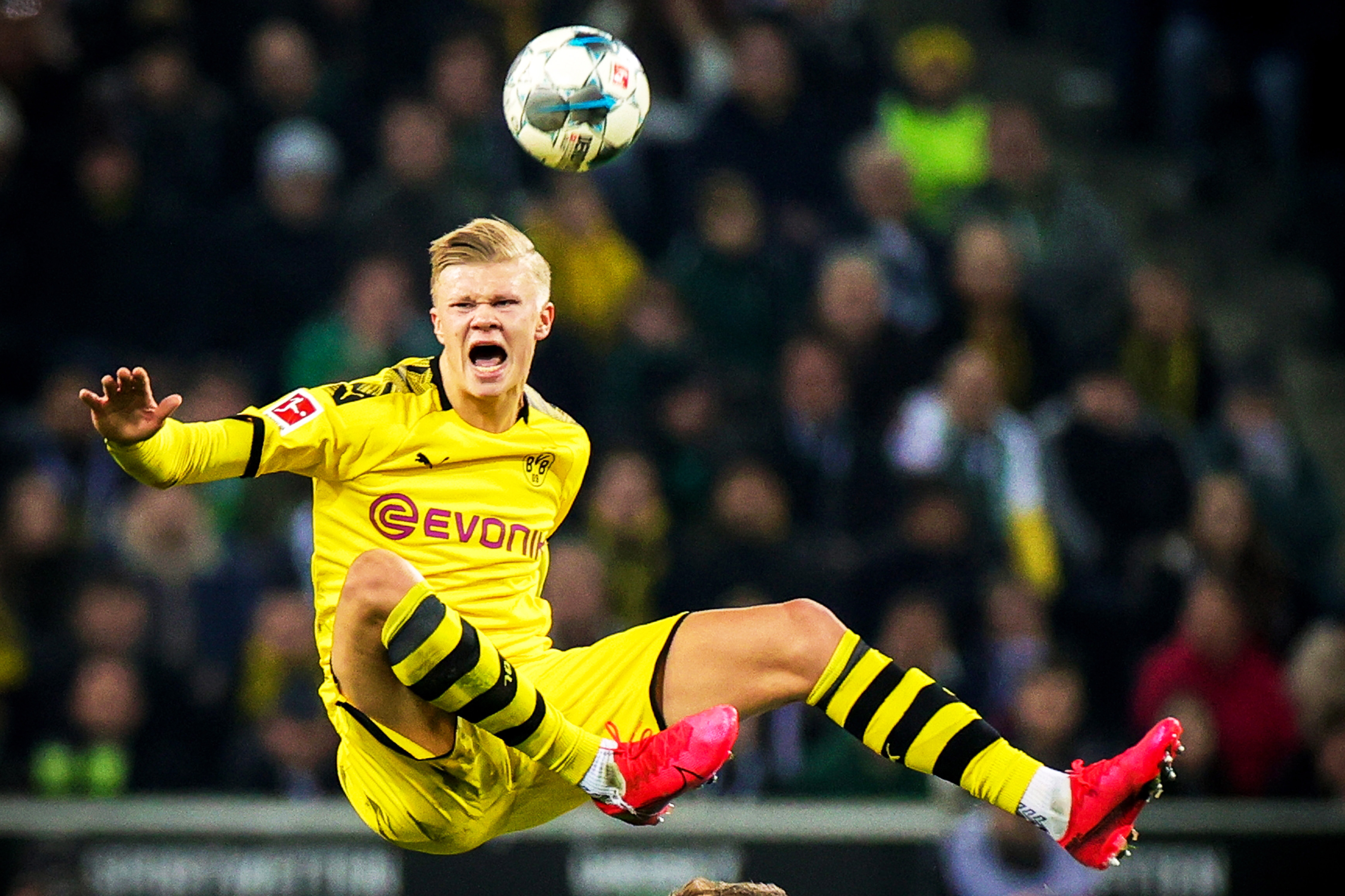 放到更大的 放到更大的